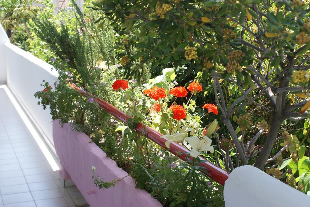 Stam&John Apartments Kos-Stadt Exterior foto
